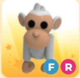 FR Albino Monkey | Adopt Me Roblox