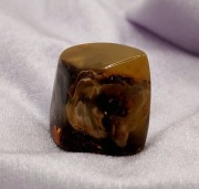 Bursztyn bałtycki bryłka