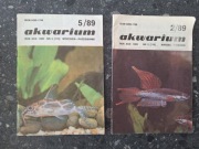 czasopismo akwarium 1989r.