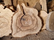 Plaster Drewna Orzech Włoski 76/8 cm Blat Stół Stolik DIY Wysuszony