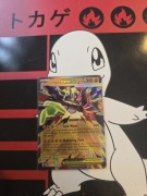 MEGA ZYGARDE EX POR 047/088 PERFECT ORDER