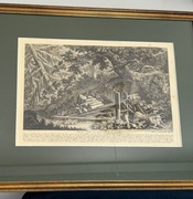 Antyk Grafika miedzioryt "Pułapka na lisa" Mart. El. Ridinger w ramie