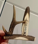 Myśliwski termometr z POROŻA