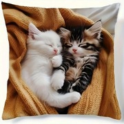 Poszewka na poduszkę Jasiek 45 x 45 Kotki 