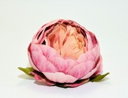 Ekskluzywna Główka Piwonii –Różowo-Brzoskwiniowy– Premium DIY