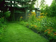 Działka z domkiem 500m2/36m2 Złotokłos k.Warszawy 