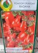 Pomidor 'Radana' nasiona
