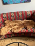 Skóra owcza naturalna barwiona ruda dywanik dekoracja wnętrza 120x80cm