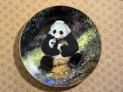 BRADEX Talerz ozdobny porcelanowy Panda z młodym 