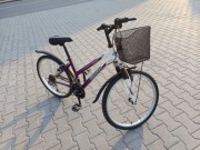 Rower 24 cale uniwersalny