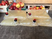 Sok z jabłek tłoczony 5 litrów