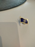 Odznaka, oznaka honorowa wojskowa, wzorowy pododdział MW, nowa, oryginalna 