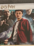 Puzzle Harry Potter 1000 elementów