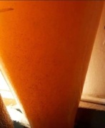 Artemia Premium - oryginalne opakowanie. 