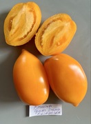 Pomidor Minusinsk Glasses Orange kolekcjonerskie nasiona