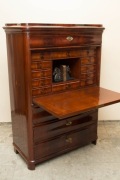 255   Sekretera mahoniowa - biederm.