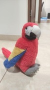 Maskotka papuga z Wysp Kanaryjskich