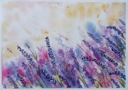 Akwarela Akwarelka Obraz pt. Lawendowe Pole .A4