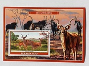 (819) blok , antylopy