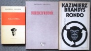 Kziamierz Brandys Mała księga Nierzeczywistość Rondo