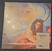 Dead or Alive Youthquake Remixes- RSD
