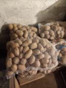 Ziemniaki jadalne "Katania" 15kg