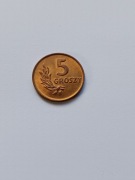 5 groszy  brąz   1949  mennicza !!! 
