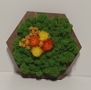 Panel hexagon mech CHROBOTEK rośliny stabilizowane 