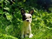 Buldog francuski filcowana figurka psa