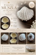 Nowa szkatułka muszla z perłą na biżuterię cyrkonie