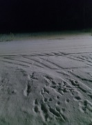 Rolnicze sianokiszonka