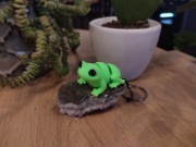 Brelok Breloczek żabka,gad,zwierze