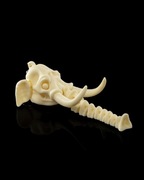 Brelok Czaszki Słonia na Halloween z Mrocznym Klimatem!