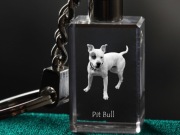 Pit bull brelok sześcienny ŚWIECĄCY