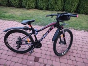 Rower Formula Alpina