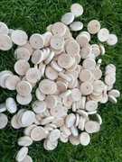 Fleki sęki zaprawki sosnowe