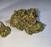 100g 9.16% bardzo mocny susz CBG okazja PROMOCJA WYPRZEDAŻ premium 