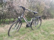 Rower Romet Gazela 1.0 Ltd