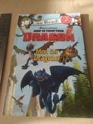 How to train your DRAGON Meet the dragons