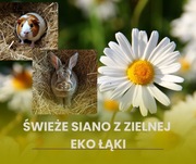 EKO KARMA DLA KRÓLIKA, ŚWINKI MORSKIEJ    1 kg