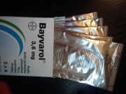 Bay-varol Api-warol Matki Buckfast HYG+ na Warrozę