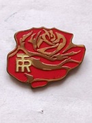 Odznaka - TRYBUNA ROBOTNICZA