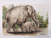 Obraz Słonie prezent AsiaInHome Dzien ojca matki dziecka