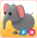 FR Elephant | Adopt Me Roblox