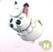 Arctic Hare N - Adopt Me Roblox