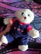 Biały słodki miś w ubranku