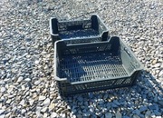 Skrzynka skrzyneczka klatka pojemnik CASI