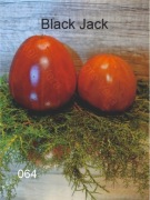 064-Black Jack. Pomidory kolekcjonerskie.