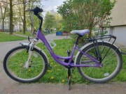 Rower Unibike Princess