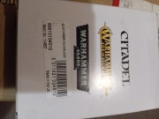 Eldar Farseer and Warlocks